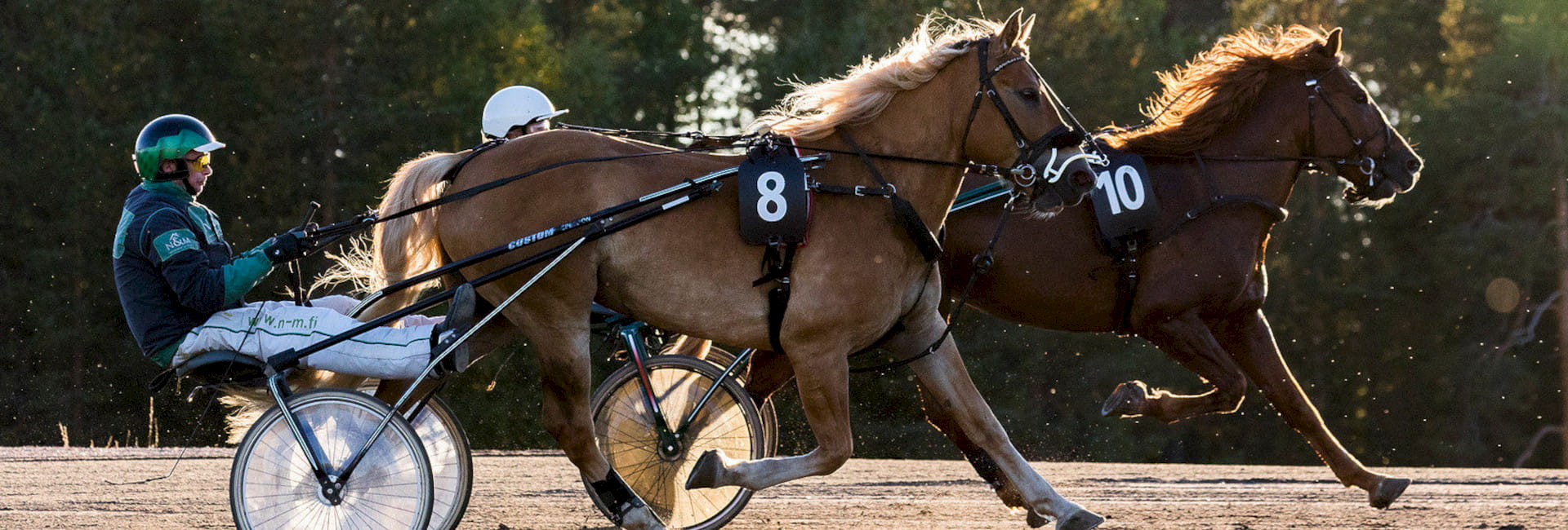Toimitusjohtajan irtisanominen