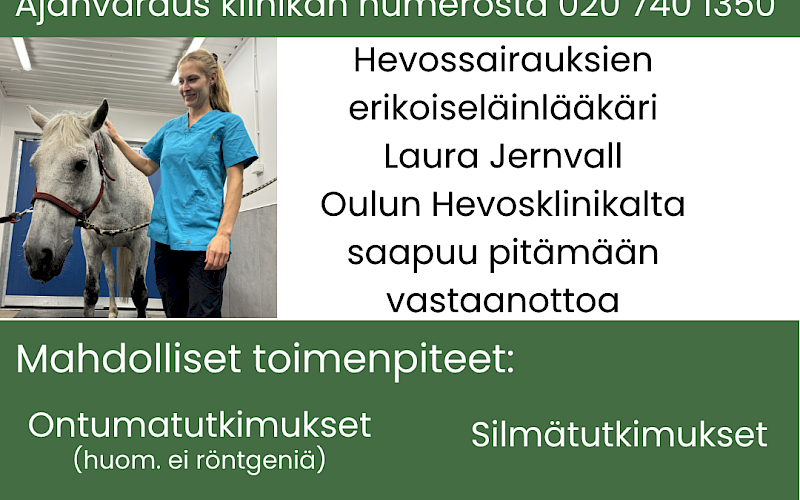 Eläinlääkäri Laura Jernvallin vastaanotto Mäntyvaaran klinikkatiloissa to 10.9.