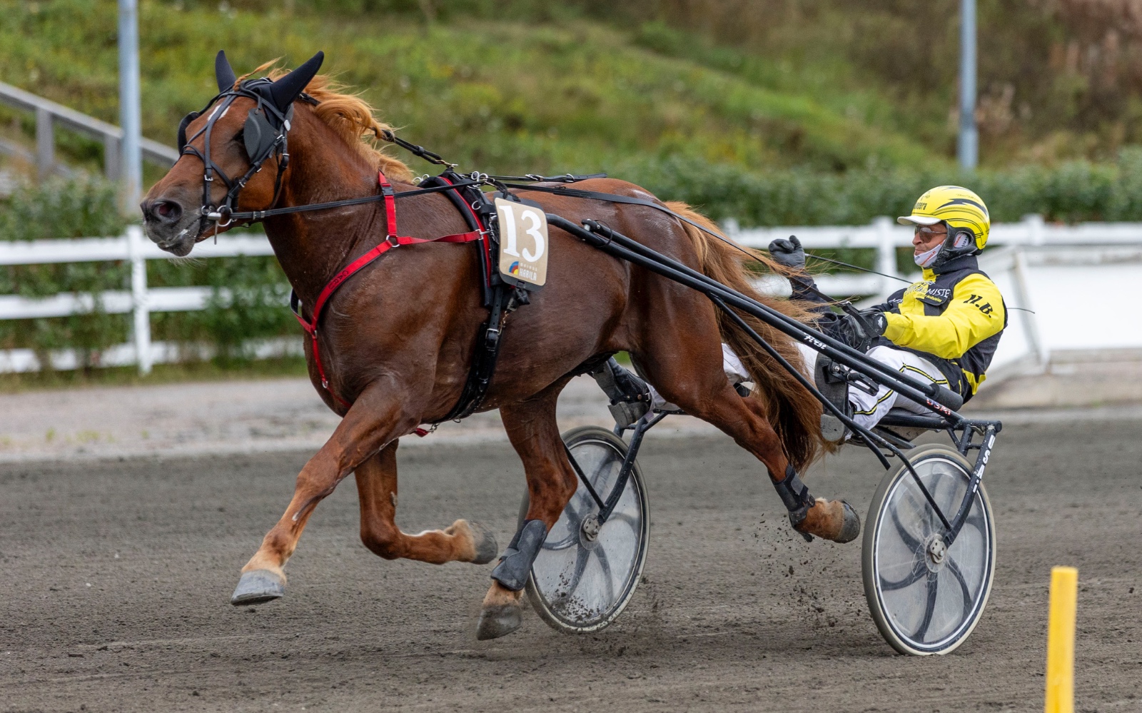 Caru lipui viime vuonna Kirppu-ajon sankariksi uudella SE-tuloksella. Kuva: Teemu Kangas