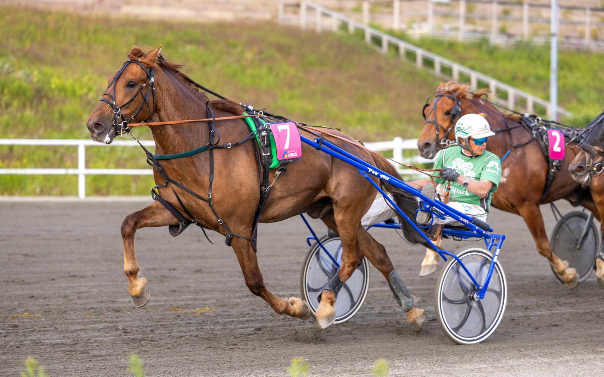 Riksun Xavier starttaa Mäntyvaaran keskiviikon Toto75-avauskohteessa. Kuva: Teemu Kangas