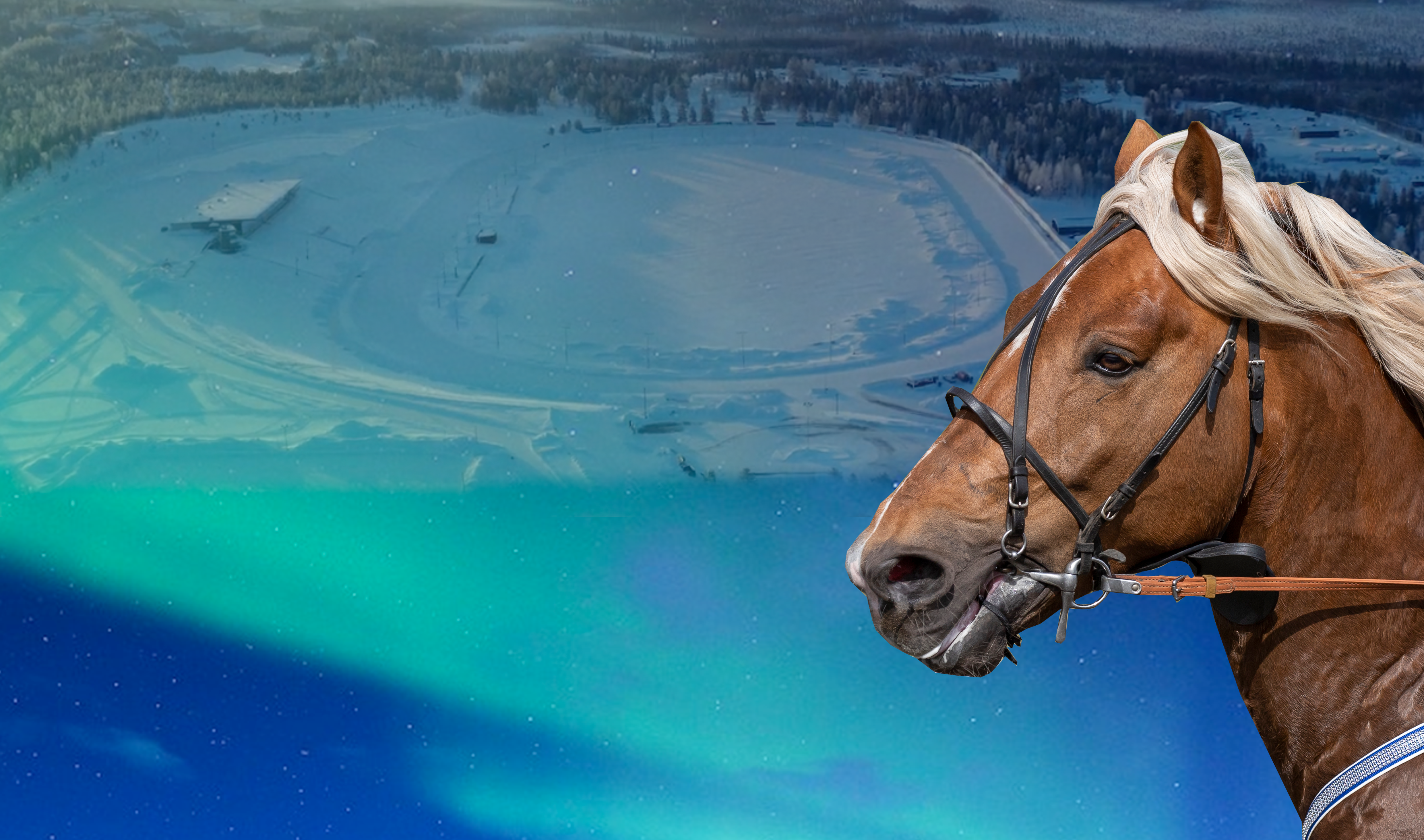 Arctic Horse Race 2021